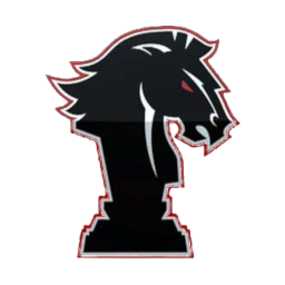 Black Knights