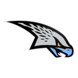 Snowhawks
